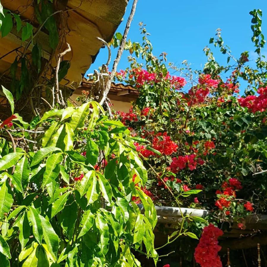 Villages Boutique - 150m Da Da Laje Alojamento de Acomodação e Pequeno-almoço 3*