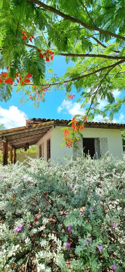Villages Boutique - 150m Da Da Laje 3* Porto de Pedras