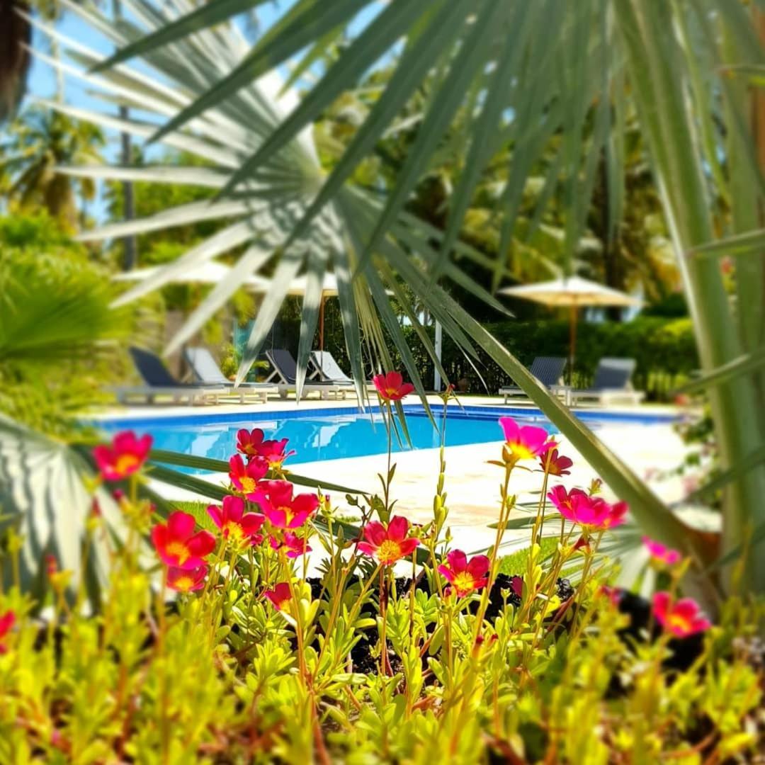 Villages Boutique - 150m Da Da Laje Bed & Breakfast Porto de Pedras